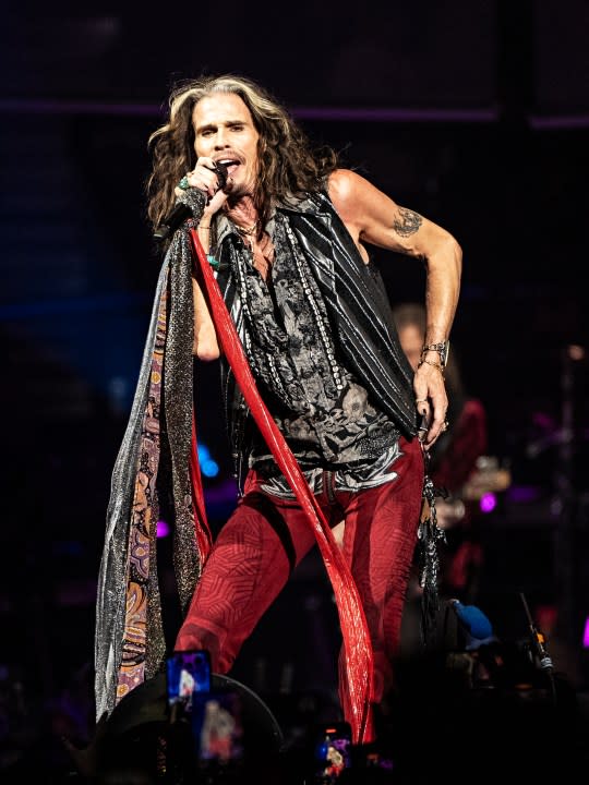 Steven Tyler's vocal injury 'more serious'; Aerosmith postpones