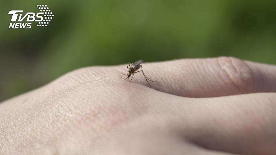 男子深信蚊子就是弟弟。（示意圖／shutterstock達志影像）