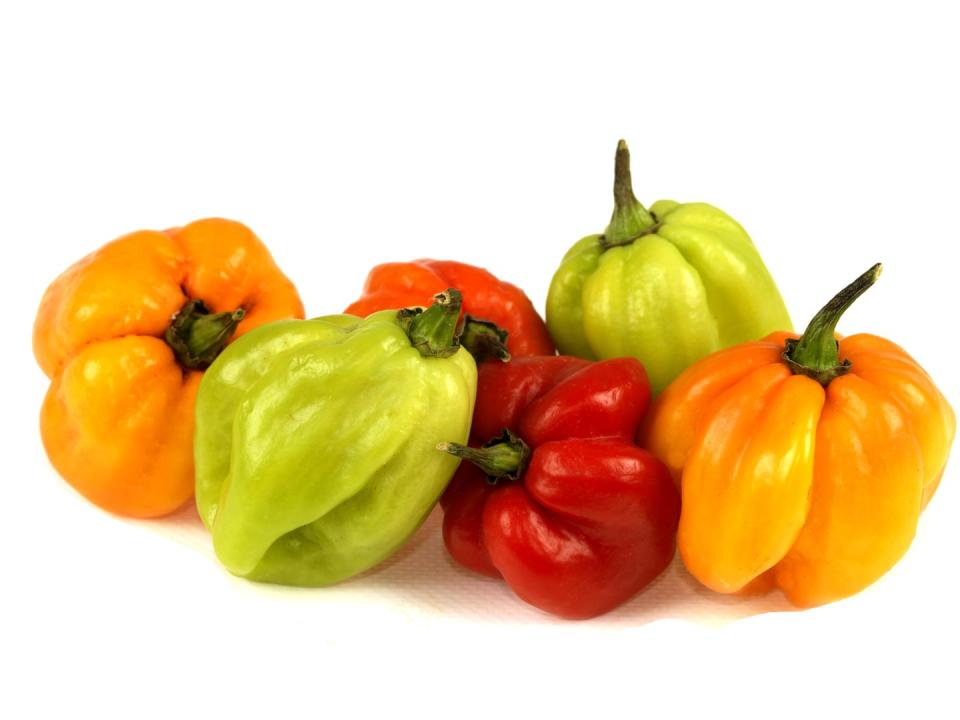 14) Scotch Bonnet