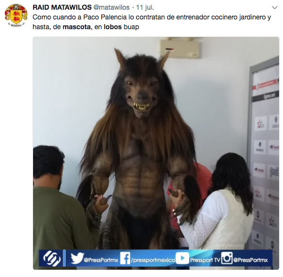 presentó lobos buap su nueva mascota