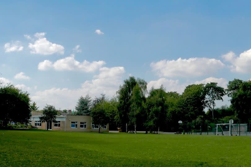 The school field