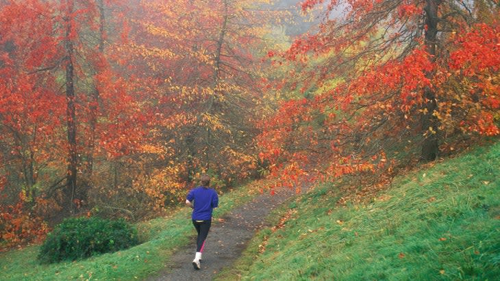 <span class="article__caption">On the run in Portland’s Washington Park</span> (Photo: VW Pics/Getty)