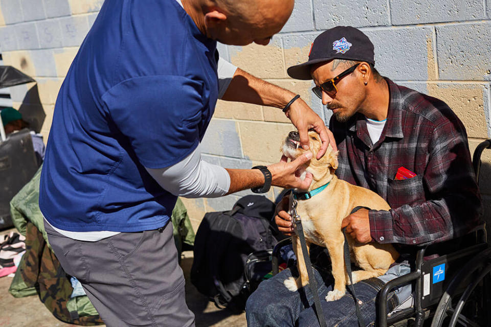 Dr. Kwane Stewart examines a dog's teeth. (GoFundMe Heroes)