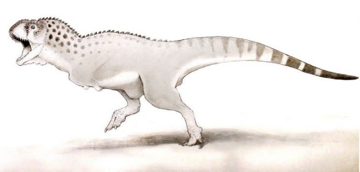  Remains of the Chenanisaurus barbaricus were found in a Moroccan mine (University of Bath)