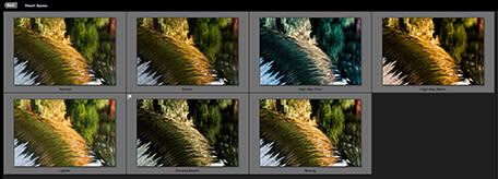 Perfect Photo Suite Filter Options