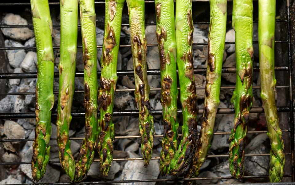 <p>Spargel schmeckt ja schon gekocht fantastisch - aber haben Sie schon einmal grünen Spargel vom Grill probiert? Bepinseln Sie die Stangen zuvor mit Olivenöl und dann ab auf den Rost damit. Die gerösteten Stangen servieren Sie mit Parmesanhobeln. Da lacht das Feinschmecker-Herz! (Bild: iStock / romiri)</p> 