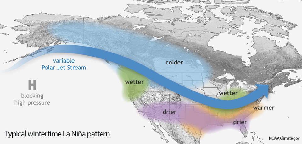 A typical wintertime La Nina pattern across North America. While the Pacific Northwest tends to be wetter-than-average, the southern tier of the U.S. is often unusually dry.