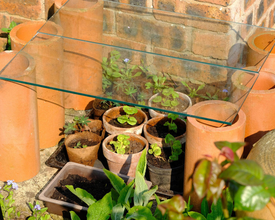 <p> Creating a sheltered spot for plants doesn&#x2019;t have to take up space or cost the earth. Enclosing a small sunny area with pots, bricks or clay tiles will cut out any chilly breeze and the heat retained by these materials will help raise the air temperature within the space too.&#xA0; </p> <p> Add a sheet of clear plastic or a spare pane of glass on top to let the light in and encourage plants to grow. Do avoid watering plants in direct sunshine though, as the sun&#x2019;s rays can magnify through any water droplets sitting on the leaves and cause blistering. </p>