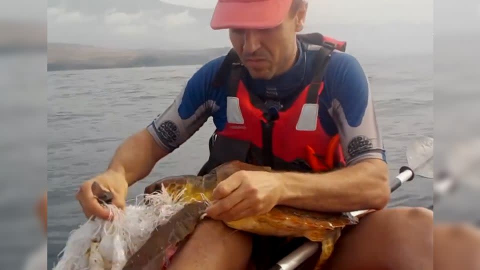 The man was careful to remove the rubbish without harming the turtle. Photo: The Weather Channel
