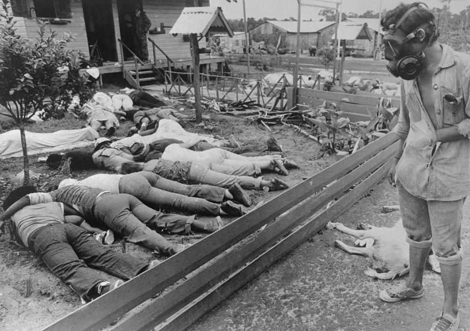 A member of the team sent to Jonestown by the Guyana Government surveys some of the hundreds of bodies of People's Temple followers who died following the murder of Congressman Leo Ryan and newsman on November 18. Authorities said that five, including cult leader Jim Jones, died of gunshot wounds. Most, however, died of cyanide poisoning.