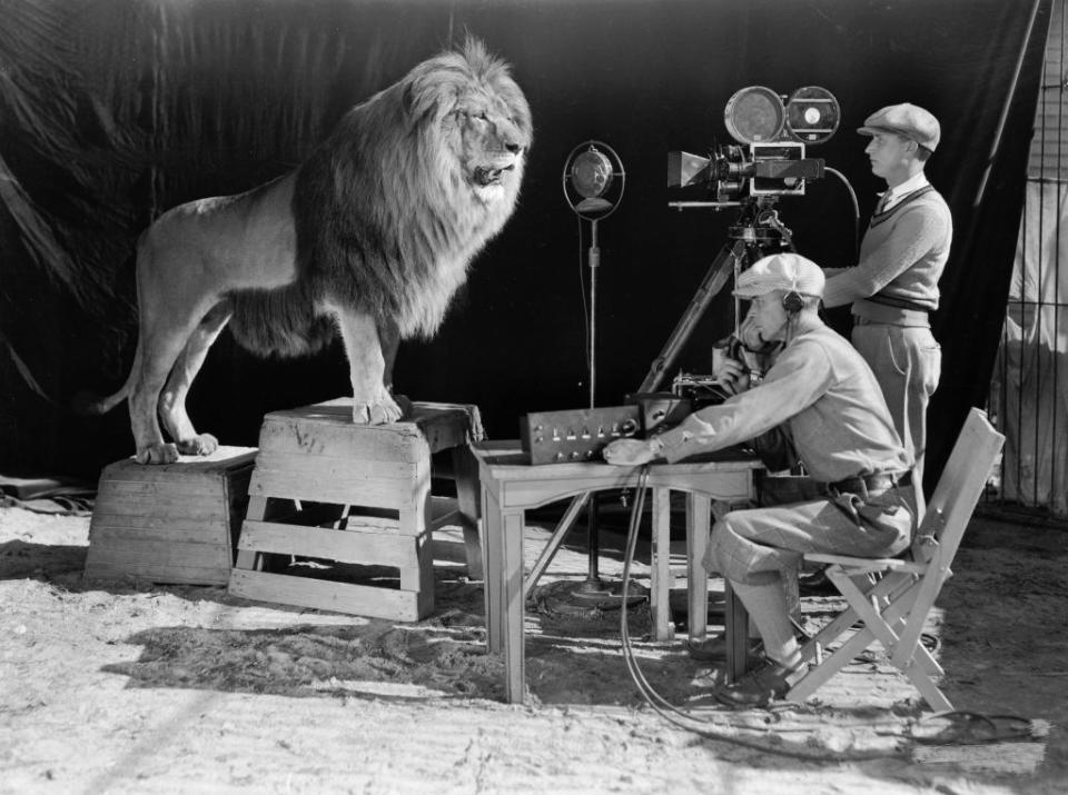 A cameraman and a sound technician record the roar of Leo the Lion for MGM's famous movie logo