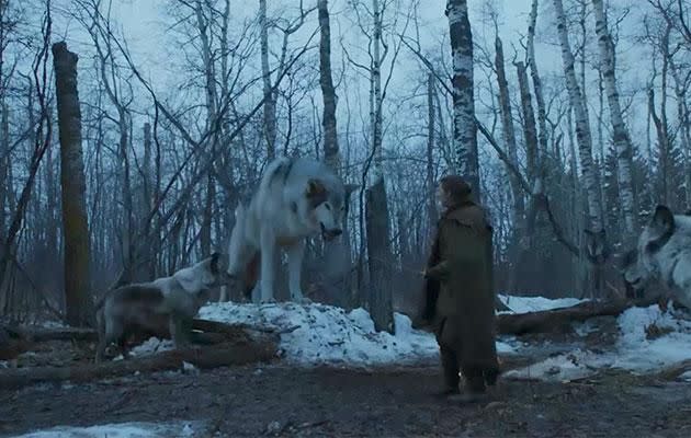 Arya had a shock reunion with her direwolf Nymeria in this week's episode. Source: HBO