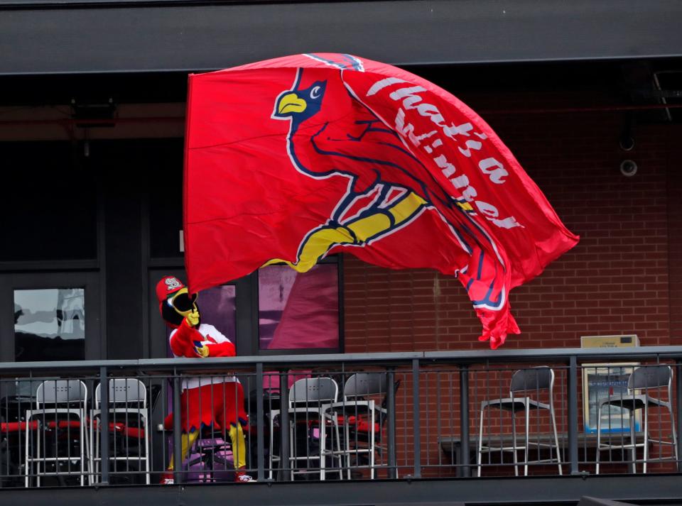 St. Louis Cardinals mascot Fredbird celebrates a 7-4 victory over the Arizona Diamondbacks after a baseball game, Wednesday, June 30, 2021, in St. Louis. (AP Photo/Tom Gannam)