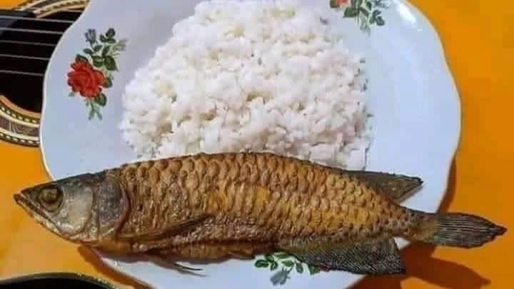 男子心愛的金龍魚成了一道魚料理。（圖／翻攝自臉書）