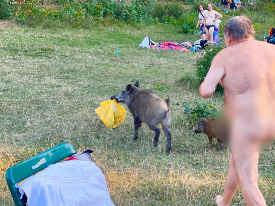 The man did get his laptop back from the boar and found the ordeal quite funny. Source: Facebook/Adele Landauer