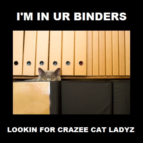 It's hard to get cats into binders