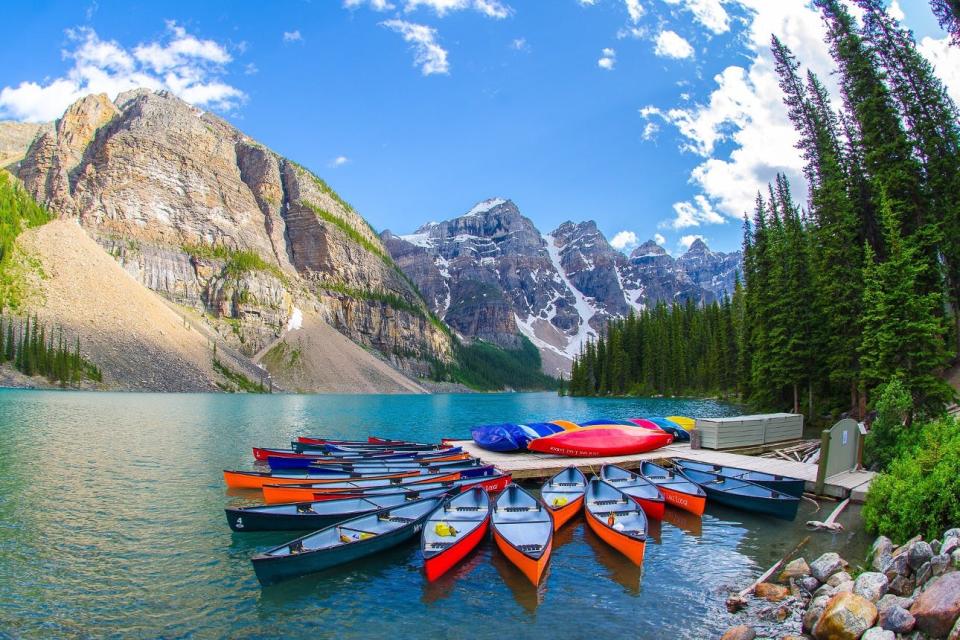 A cluster of canoes are moored to a shoreline in Calgary, Alberta