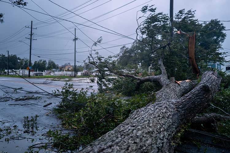 A fallen tree blocks an intersection on September 11, 2024 in Houma, Louisiana. Hurricane Francine has been upgraded to a Category 2 hurricane and continues to make landfall along the Louisiana coast. Weather analysts are predicting 90mph winds near the eye and a strong storm surge along the coast.