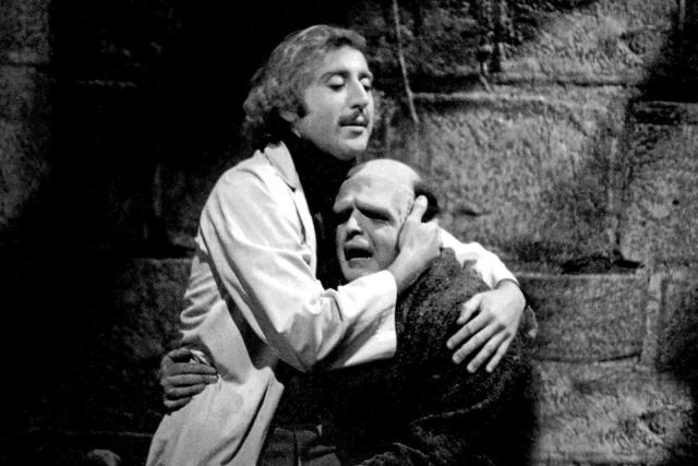 ABC's Next Live Musical Is Young Frankenstein Live! - TV Guide