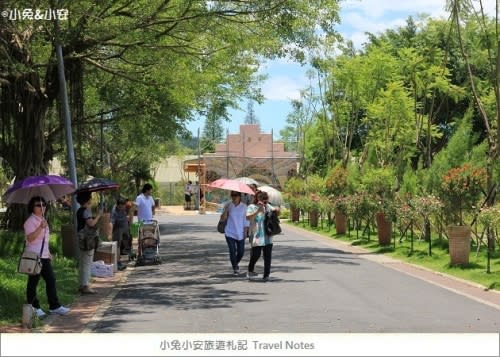 『古坑』蘿莎玫瑰山莊，咖啡原鄉中的浪漫玫瑰花園～