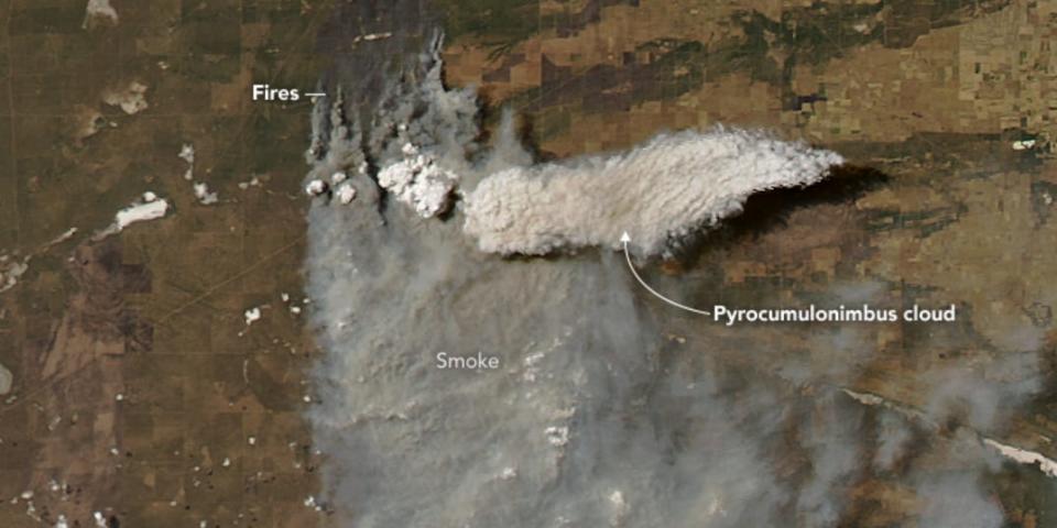 Pyrocumulonimbus satellite image