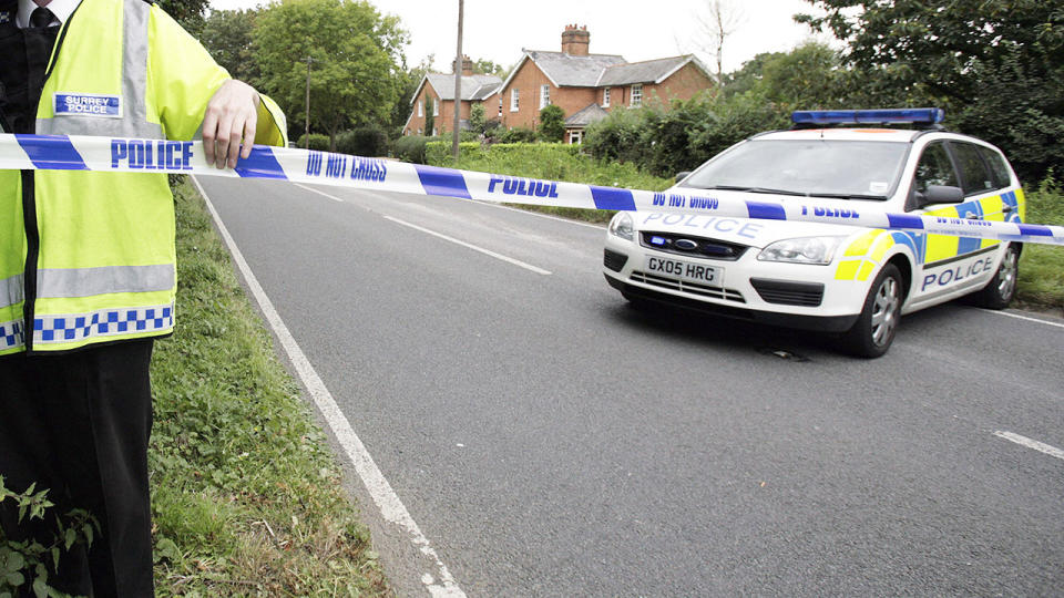 Police, pictured here in the UK.