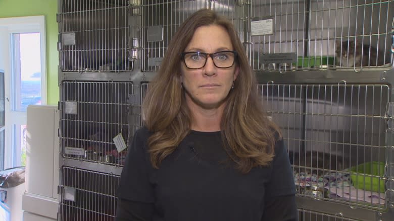 SPCA worker hospitalized after 'unprovoked' dog attack at shelter