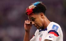 <p>Fast könnte man denken, der gallische Hahn habe ihm auf den Kopf gemacht. Aber der frühere Schalker Weston McKennie spielt für die USA und setzt beim Turnier in Katar zum Glück nicht nur farbliche Akzente. (Bild: 2022 Getty Images/Ryan Pierse)</p> 