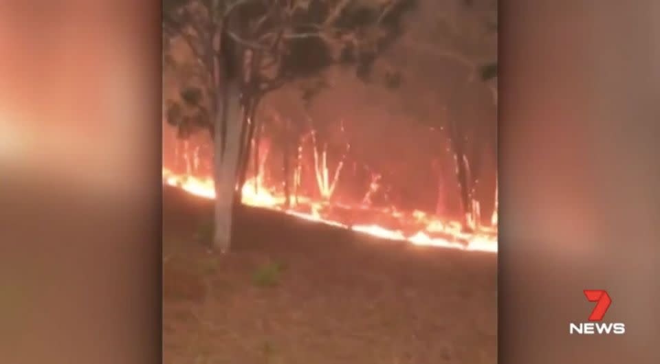 The fire spread quickly throughout Tathra. Source: 7 News
