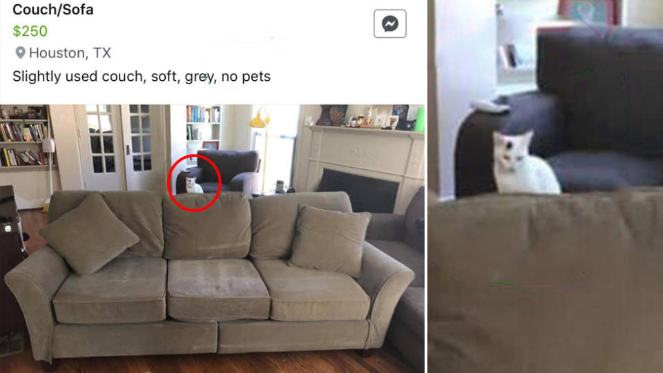 The lounge was advertised for sale as "no pets" but there is a cat hidden in the photo.