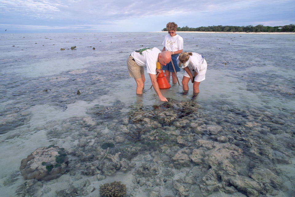 See How Australia's Great Barrier Reef Has Changed Through the Years