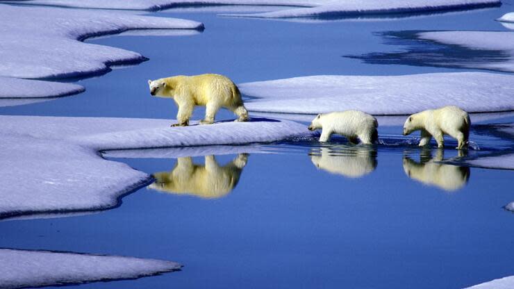 Die Hoheit über die Nordwest-Passage ist für Kanadier eine ganz sensible Frage. Foto: dpa