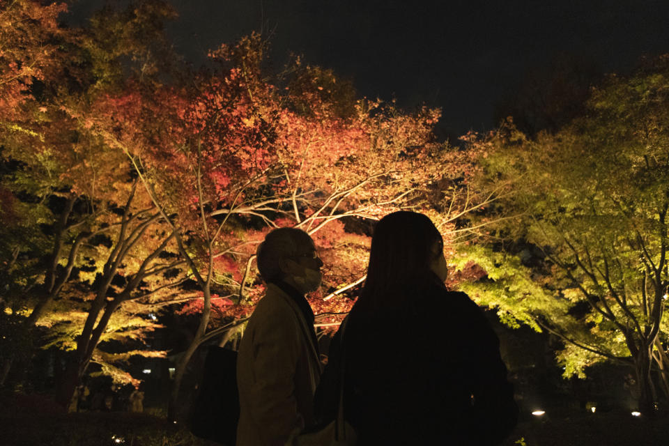 People wearing face masks watch maple trees illuminated for the fall foliage season at Otaguro Park in Tokyo on Thursday, Dec. 3, 2020. (AP Photo/Hiro Komae)