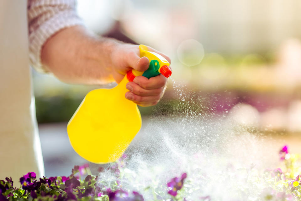 A close up of a person holding a yellow spray bottle.