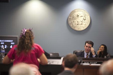 Anna Rose Mohr-Almeida, 11, of Mesa, Arizona, addresses the Arizona Corporations Commission, as commission Chairman Bob Stump looks on, in Phoenix November 13, 2013. REUTERS/Samantha Sais