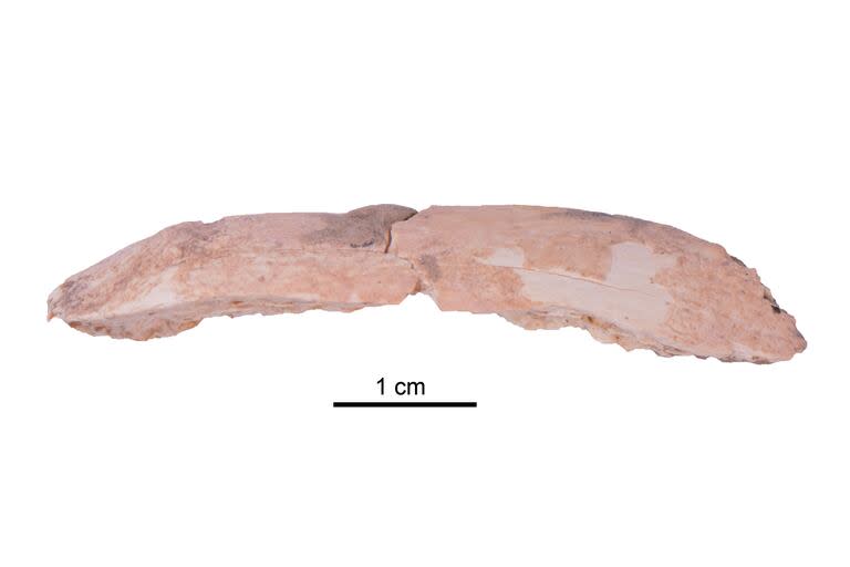 Los investigadores excavaron un fragmento de costilla perteneciente a un denisovano que vivió en la cueva cárstica de Baishiya hace entre 48.000 y 32.000 años