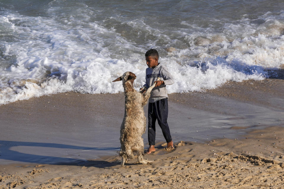Palestinians wash their flock in the Mediterranean Sea at the beach in Deir al Balah, Gaza Strip, on Wednesday, May 7, 2024. (AP Photo/Abdel Kareem Hana)