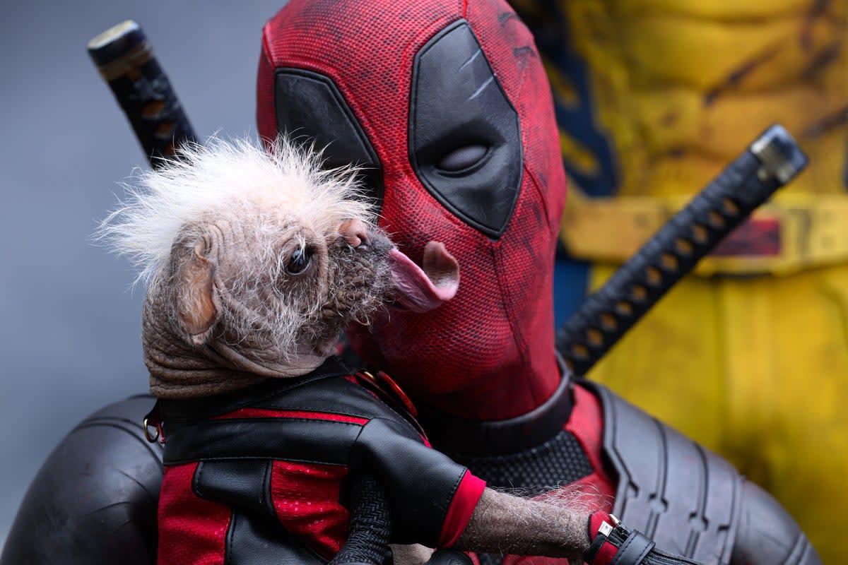 Dog days: Ryan Reynolds as the ‘Merc with a Mouth’ in ‘Deadpool & Wolverine' (Jay Maidment)