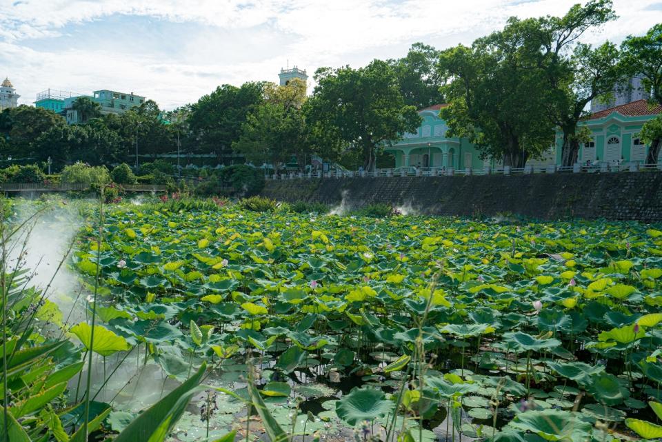 澳門好去處｜6月澳門免費活動合集！澳門旅博會送機票、東望洋燈塔免費開放可登塔頂