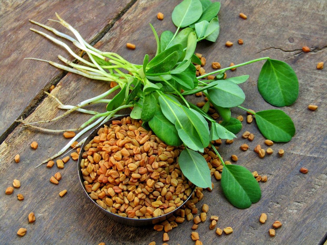 fenugreek seeds and plant on a old wooden background