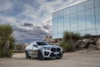 <p>2024 BMW X6 M</p>