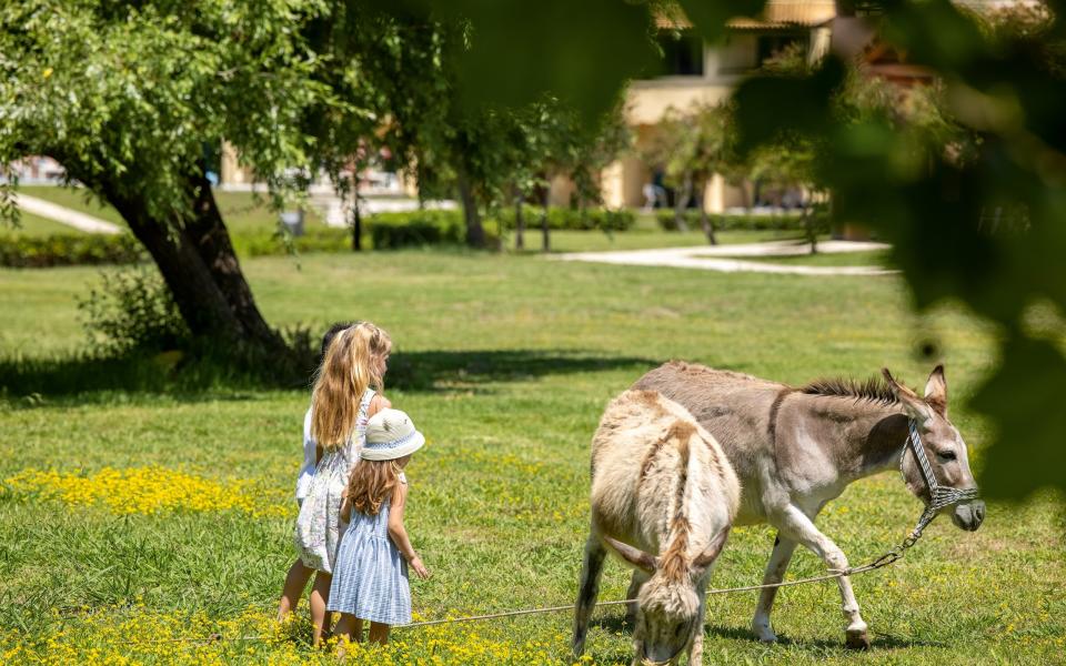 Costa Botanica  near Lake Antiniotissa in northern Corfu has its own petting zoo