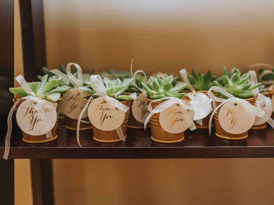 wedding favors - small cactuses in jars with thank you notes on them