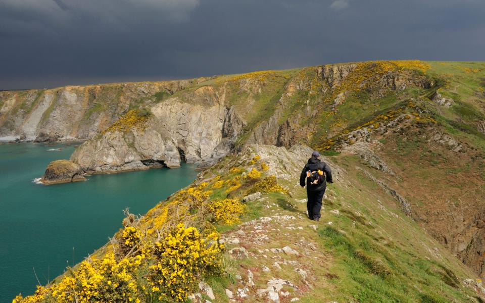 May is a great month for a walking holiday to Pembrokeshire