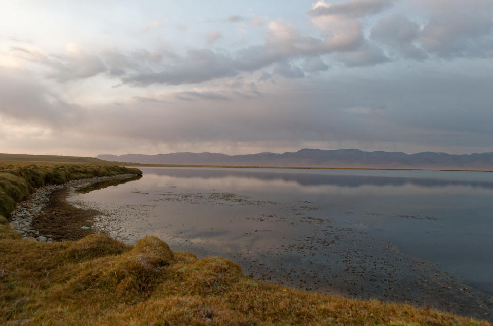 Song Kol in Kyrgyzstan.&nbsp;This summer, herders were persuaded to move their animals from overgrazed village grasslands to the pastures around the alpine lake, in hopes of&nbsp;revitalizing the grasslands as well as the country&rsquo;s faded nomadic traditions. (Photo: Ariel Sophia Bardi)