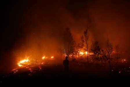 The Wider Image: Indonesia's firefighters on frontline of Borneo's forest blazes