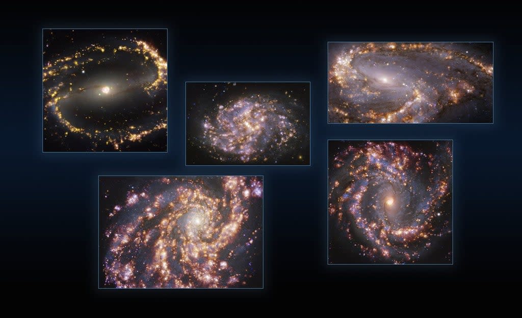 Images of nearby galaxies resemble fireworks (ESO/PHANGS/PA)