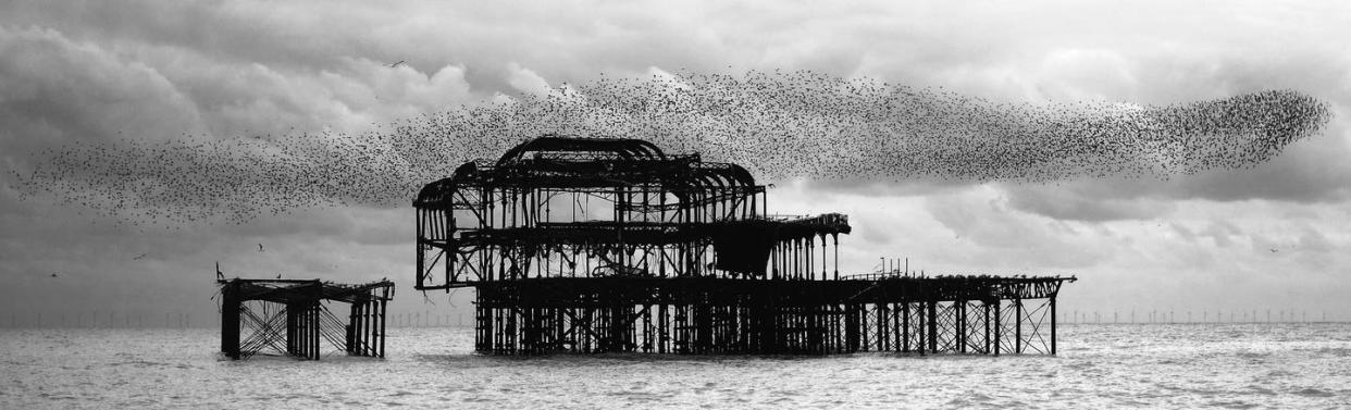 <span class="caption">A murmuration of starlings over West Pier in Brighton England. </span> <span class="attribution"><a class="link " href="https://www.shutterstock.com/image-photo/gathering-murmuration-starlings-over-west-pier-773432962" rel="nofollow noopener" target="_blank" data-ylk="slk:Lois GoBe/Shutterstock.com;elm:context_link;itc:0;sec:content-canvas">Lois GoBe/Shutterstock.com</a></span>