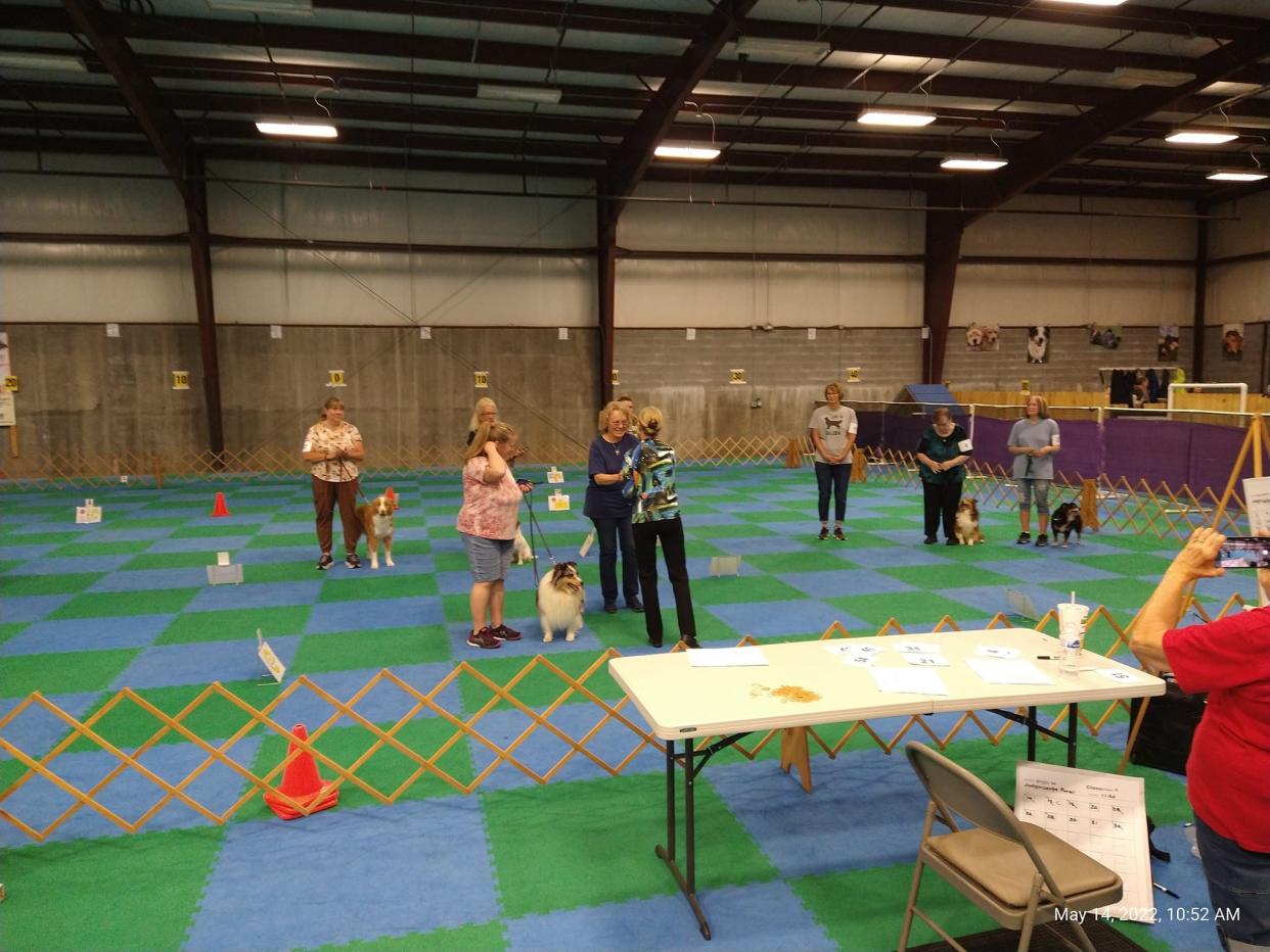 A past competition at the Oak Ridge Kennel Club.