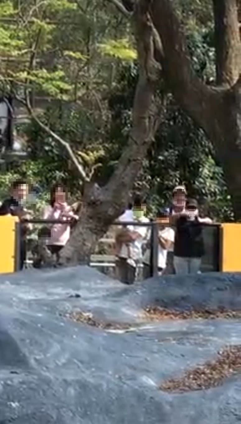 家長帶孩子到壽山動物園，但卻恣意餵食園區內動物被網友直擊。（圖／翻攝爆料公社）